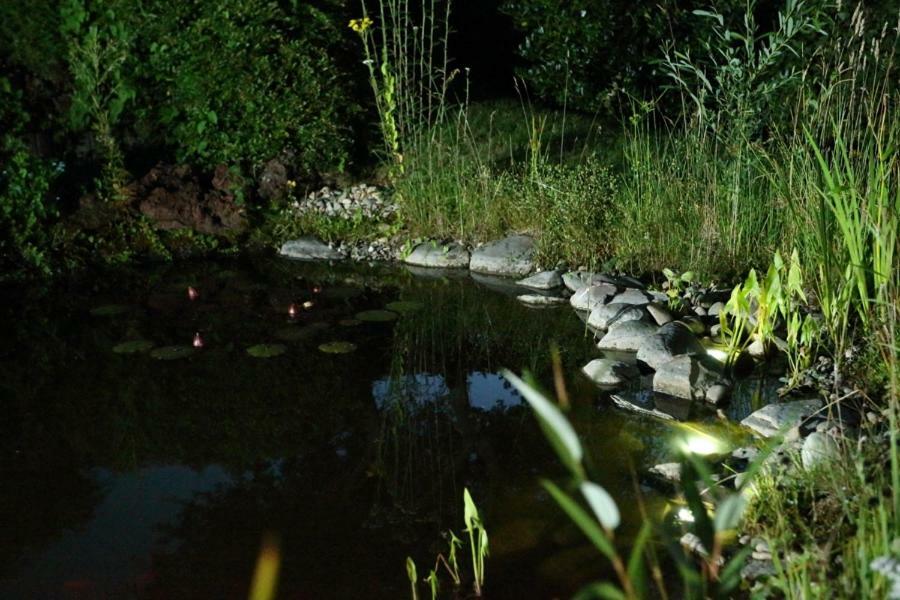 Ferienwohnung Welcome Mit Seeblick Schalkenmehren Zewnętrze zdjęcie