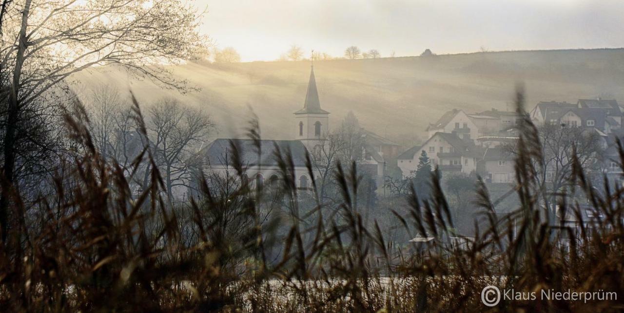 Ferienwohnung Welcome Mit Seeblick Schalkenmehren Zewnętrze zdjęcie