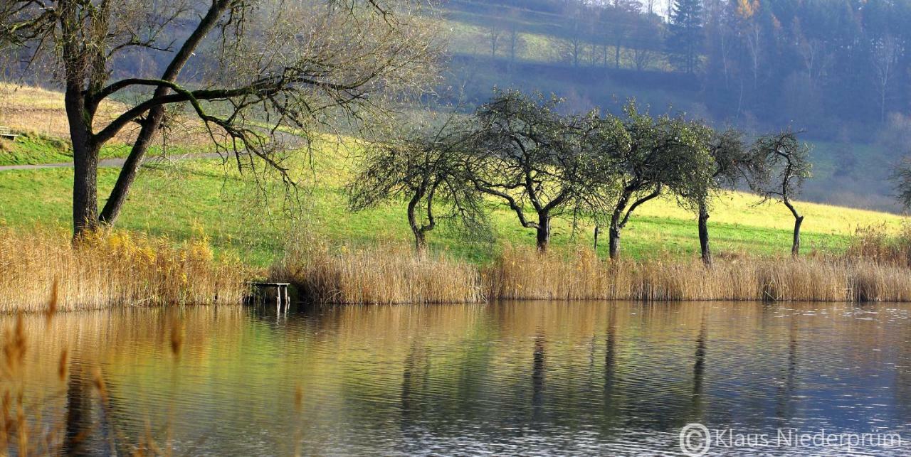 Ferienwohnung Welcome Mit Seeblick Schalkenmehren Zewnętrze zdjęcie